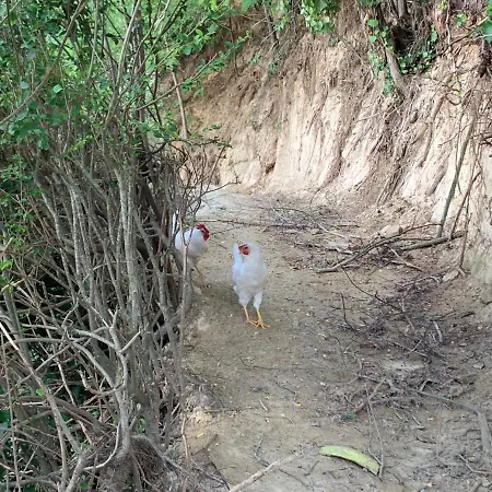 Casa Tavasso Bed & Breakfast 3*